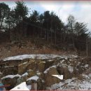 득일공인중개사사무소 이미지