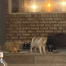 산포리민박 네이버블로그