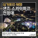 장수슈퍼 | 싱가포르 슈퍼트리 쇼 후기｜ 샌즈 스카이파크 전망대 무료 입장 방법과 야경