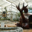 아산시생태곤충원 이미지