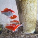 산격약국 이미지