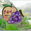 반곡저수지 이미지