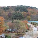 제장농장 | 가을캠핑 꼭 가보고 싶었던 그곳.. 동강전망자연휴양림 :)