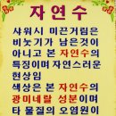 신원비엔빌