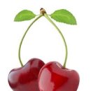 파인짐(FINE GYM) 이미지