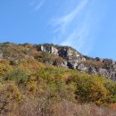 월외리자연회귀마을펜션 이미지