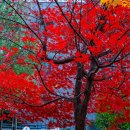 청계산수변공원 이미지