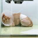 주안동물병원 이미지