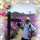 아실 Daum카페