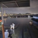 샛도리물 이미지