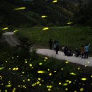 조선왕조실록 봉안행렬 재현 이미지