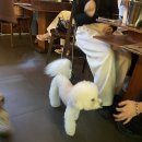 연밤