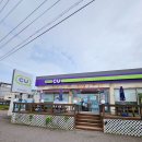 선재유일390 이미지