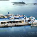 부산시수협자갈치수산물위판장 네이버블로그