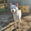 광주TNR동물병원(초월) 이미지