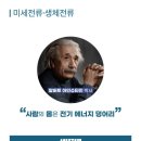 알파테라피 이미지