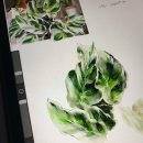 수채화와 디지털 보태니컬 드로잉 이미지