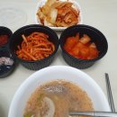 성혁농장 | 내년 이맘때에도 함께 할 수 있을까