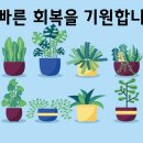 맘앤차일드소아청소년과의원 이미지