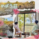 현대대중탕 | &lt;일본&gt; 후쿠오카 유후인 료칸추천 &#34;메바에소&#34; 개인탕 / 가이세키맛집 내돈내산 솔직후기