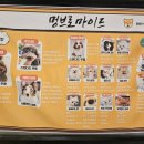 멍브로 이미지
