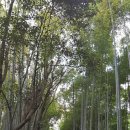 치쿠린 - 익산시 익산대로68길 35 | 치쿠린