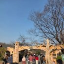 매향 어린이공원(어5) | [서울/광진] 어린이대공원 동물원 나들이! 주차 꿀팁과 생생 후기 🚗🦁