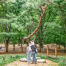 숲속의노래연습장 이미지