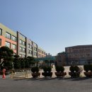 인천송도초등학교 이미지