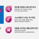 목포하당초등학교 이미지