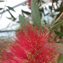 비석농장 이미지