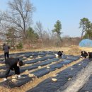 흥천중학교 이미지