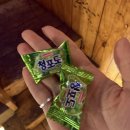 주막포차 - 진천군 초금로 727 | 강남술집 감성포차 강남주막다방 후기🍺 분위기까지 좋아요.