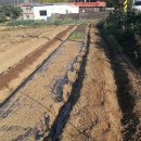 방아농장 이미지