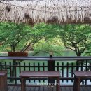 다람이마을 이미지