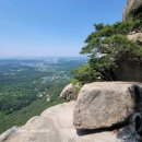 김봉창 코다리 이미지