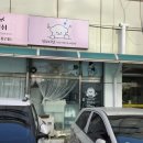 멍뷰티샵 네이버블로그