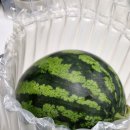 오마켓 | 하우스꿀수박 추천, 오남매농장마켓 후기