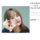 자일자동차주식회사 이미지