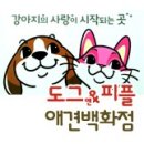 도그앤피플 동물병원 이미지