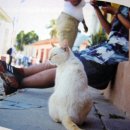 정다운시간 이미지