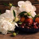 스텔라여성의원 이미지