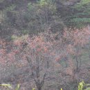 장자골마을 이미지