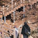 수승대관광지 눈썰매장 | 거창 수승대 눈썰매장 오전타임 겨울가족여행 출렁다리 먹거리