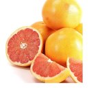 정직한 피트니스 이미지