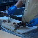 네스트렌트카 이미지