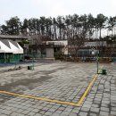 캐리비안 이미지