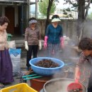 녹색농심인삼마을 이미지