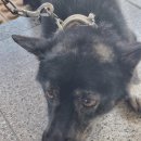 4공단로10길-4 이미지