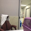 태능동물병원 이미지